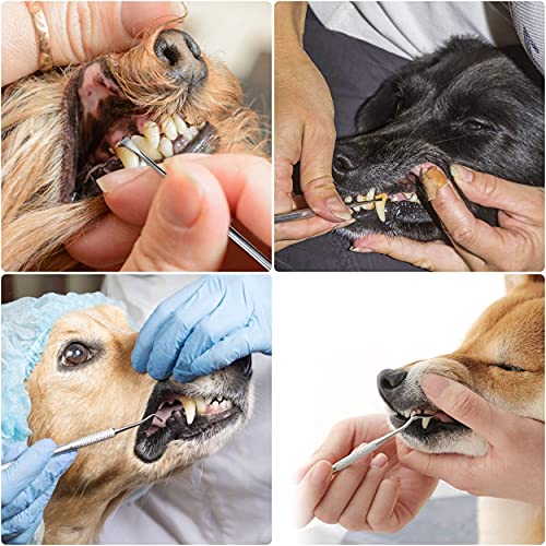 Limpiador de Dientes para Perro Sarro Dental Limpiador Mascota Herramienta de Cuidado Bucal de Acero Inoxidable 5 Piezas
