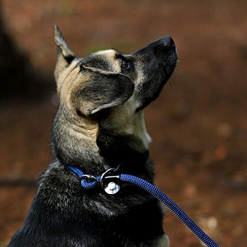 lionto Correa Retriever correa de perro correa de entrenamiento longitud 170 cm Azul
