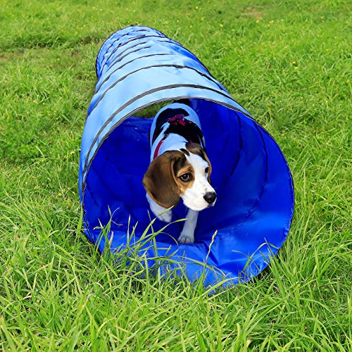 lionto Túnel para perros túnel de agilidad para mascotas (M) 300x50 cm color