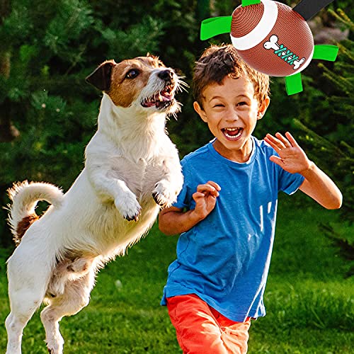 LiRiQi Pelota de Juguete para Perros, Rugby Juguete de Agua para Perros, Juguetes Interactivo Perro