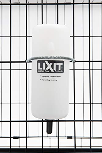 Lixit 30-0685-036 Botella de Agua para Perro, Grande, 32 onzas