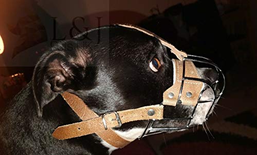 L&J Pets Uk Bozal para perro Staffordshire Bull Terrier Staffy, Staffie (B3, negro)