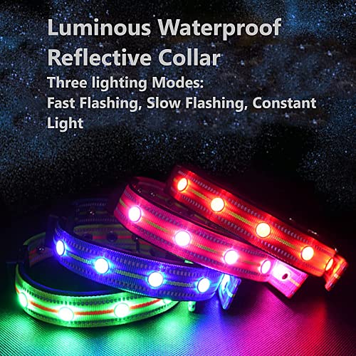 LKJYBG Collar luminoso LED para perro, recargable por USB, impermeable, tres modos de iluminación, adecuado para perros grandes, medianos y pequeños, rojo, M