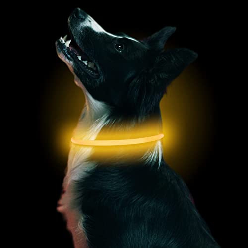 LMLMD Luminoso Collar Perro de Mascota LED, Ajustable Recargable 3 Modos, Collares LED para Perros Pequeños/Medianos/Grandes, amarillo