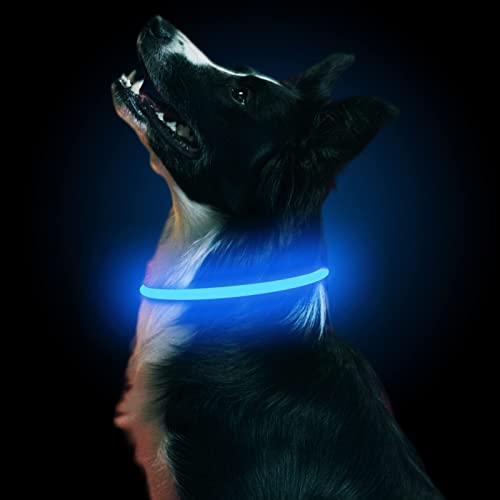 LMLMD Luminoso Collar Perro de Mascota LED, Ajustable Recargable 3 Modos, Collares LED para Perros Pequeños/Medianos/Grandes, azul