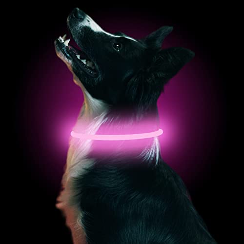 LMLMD Luminoso Collar Perro de Mascota LED, Ajustable Recargable 3 Modos, Collares LED para Perros Pequeños/Medianos/Grandes, rosa