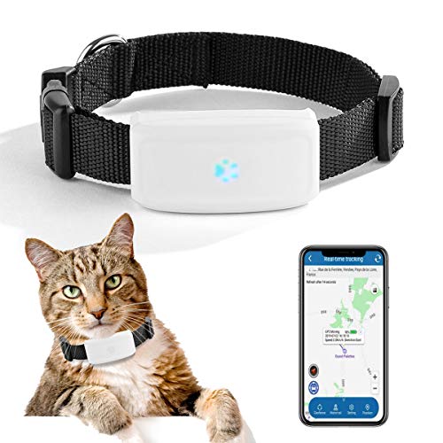 Localizador GPS para Perros y Gatos Tiempo Real Pequeño GPS Tracker con Historial de Ruta, Dispositivo de Alarma Impermeable APP Gratuita TK911