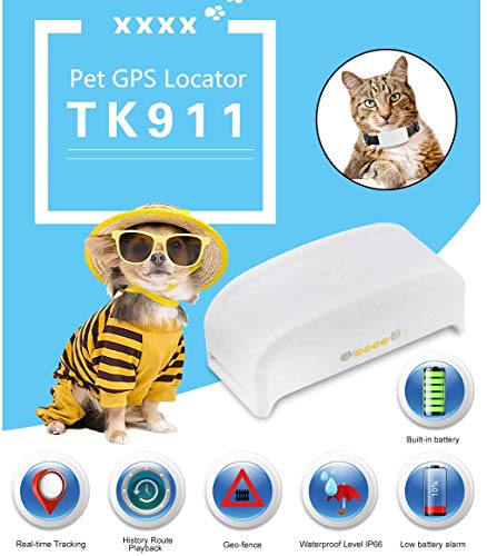 Localizador GPS para Perros y Gatos,Rastreador GPS Tiempo Real Localizador de Dispositivos Historial de Ruta Impermeable App Gratuita