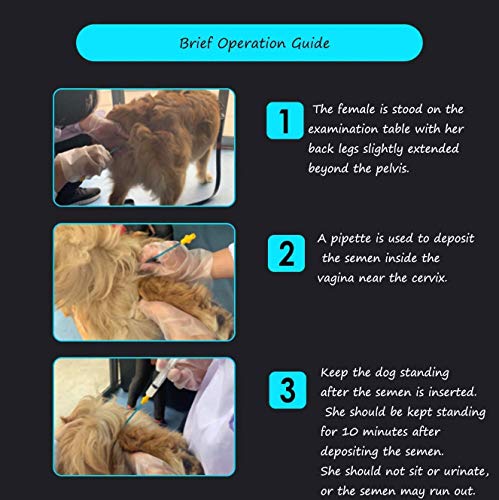 LongForU 10 Juegos de Suministros de Cría Canina Suministros de Cría de Perros Kit de Criador Canino Kit de Cría de Perros de Inseminación Artificial para Mascotas Pequeñas y Medianas