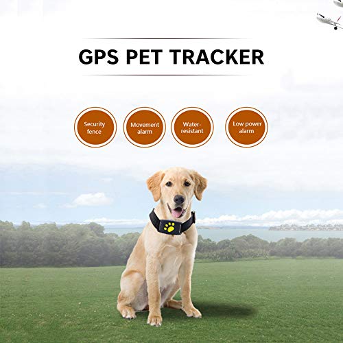 LOOCOO Pet GPS Tracker,Dog and Cat Positioning Collar,USB Charging GPS Positioning Collar,Waterproof Tracker,Suitable for General-Purpose Dogs
