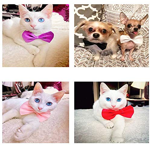 LTDD 50 piezas de corbata de perro y cachorro, gran capacidad se puede ajustar, vestido diario y decoración pajarita, regalo de fiesta para cachorros y gatitos