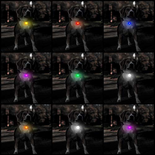 Luces LED de Collar de Perro Luz Clip en Collar Flash de Mascotas Luces de Collar de Seguridad Coloridas a Prueba de Agua con 3 Modos de Parpadeo (Amarillo, Rojo, Verde, Azul, Rosa, 14 Piezas)