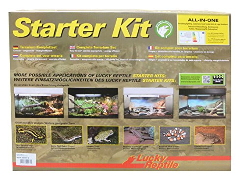 Lucky Reptile Kit de iniciación de 50 cm Desierto, Color Negro, Juego Completo de terrario para Geckos pequeños
