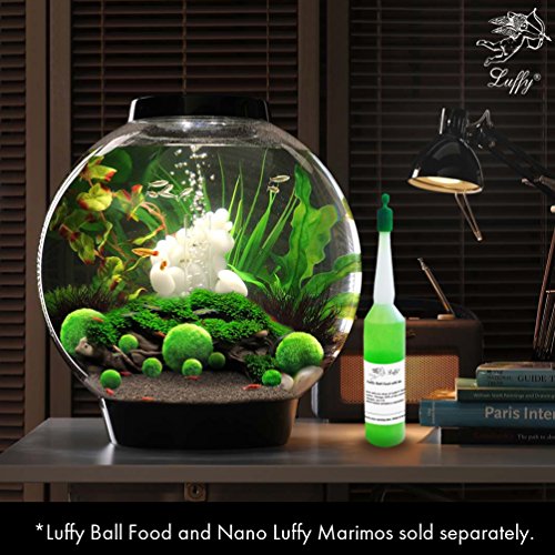 Luffy Medium Marimo Moss Balls, 1 pulgada, plantas vivas para mascotas acuáticas, bajo mantenimiento, 4 bolas por paquete