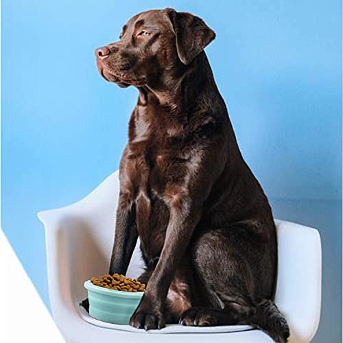 LUTER Tazón plegable para perro de 2 piezas Tazón de viaje de agua de silicona para alimentos con tapa Plato de alimentación portátil para mascotas para perrera camping 350ml (12x12x3 cm) (rosa y azu)
