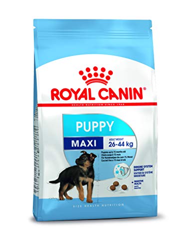 marque+generique Royal canin – Royal Canin Maxi Junior Contenances: 1 kg