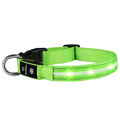MASBRILL Collar LED Perro, Collar para Perro Luminoso Recargable y Impermeable, 3 Modos de Iluminación led y Tamaño Ajustable para Perros Pequeños Medianos Grandes(Verde L)