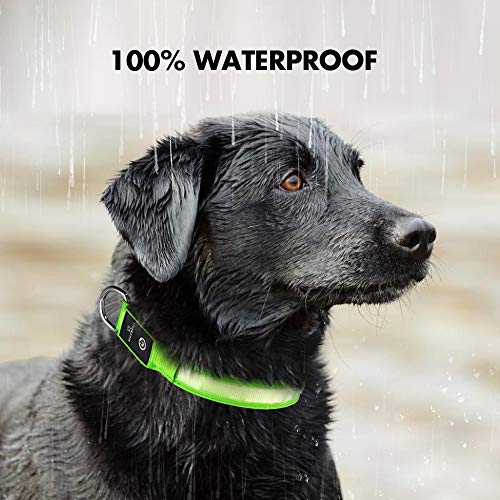 MASBRILL Collar Luminoso Perro de Mascota, 3 Modos Collar Perro Luz con Recargable y Impermeable, Ajustable Collares LED para Perros Pequeños / Medianos / Grandes(Verde M)