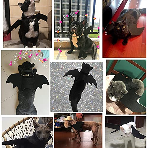 MHwan Alas de Perro, Disfraz de Perro de Halloween, Alas de murciélago para Mascotas de Halloween con Campana de 2 Calabazas para Cachorro y Gato (Negro)
