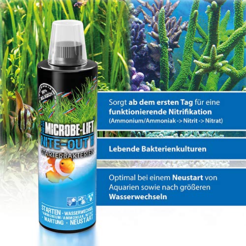 MICROBE-LIFT Nite-out II – Bacterias para Principiantes aptas para acuarios de Agua Dulce y Salada, su Acuario estará Listo para los Peces en un Abrir y Cerrar de Ojos