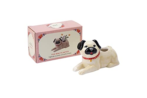 Mini maceta de aire interior para perros Pug Dog | Mascotas | caja de regalo | accesorios para el hogar | impresiones florales por CGB Giftware | GB06168