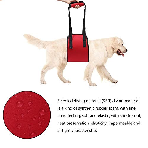 MiOYOOW Arnés de apoyo para perro, arnés de elevación de perro, chaleco acolchado para perros con asa para personas mayores lesionadas y discapacitadas