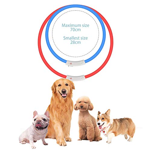 Mitening 2 Pcs Collar Luminoso Perro, USB Recargable Collar Perro Seguro para Mascotas, 3 Modos de LED Perro Collar Brillantes y Longitud Ajustable para Perros, 70CM (Azul y Rojo)
