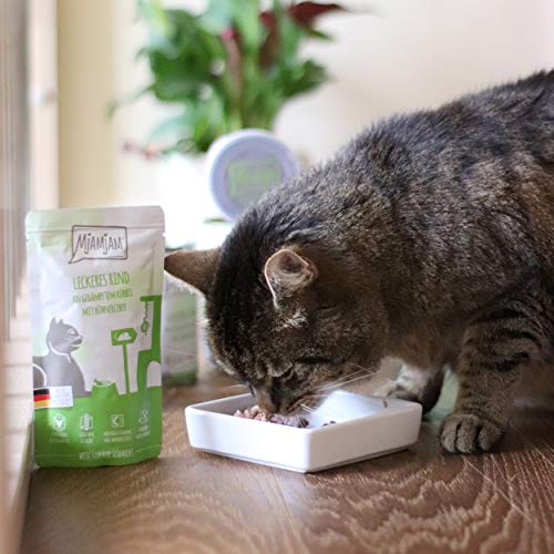 MjAMjAM Natural Wet Cat Food Pienso Acuoso para Gatos, 125 g (Paquete de 12)