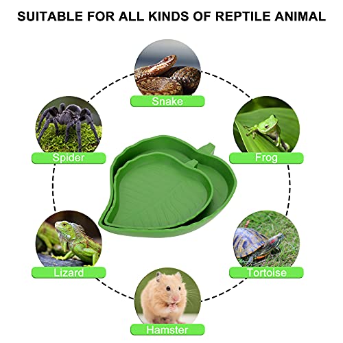 Molain 2 piezas hoja reptil comida agua tazón reptil tortuga alimento tazón plano beber agua tazón para lagartos, hámsters, serpientes 2 tamaños