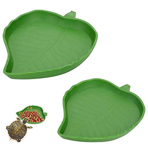 Molain 2 piezas hoja reptil comida agua tazón reptil tortuga alimento tazón plano beber agua tazón para lagartos, hámsters, serpientes 2 tamaños
