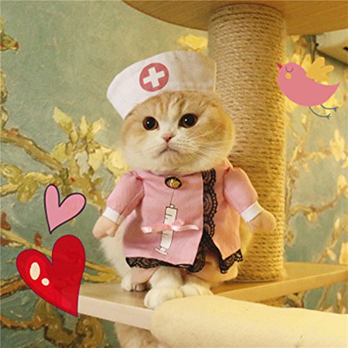 Morbuy Disfraz de Enfermera Ropa Traje Rosa para Mascotas Animal Doméstico Gato Perro con Dos Patas y Gorro para Halloween Navidad (M, color2)