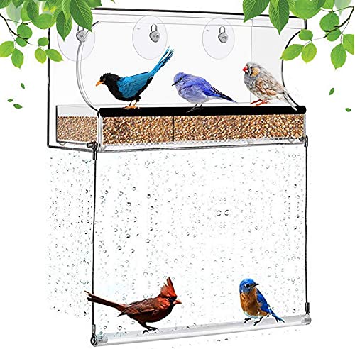MoYouno Comedero para pájaros de Semillas para la decoración del jardín, Comedero para pájaros Salvajes al Aire Libre con 3 ventosas súper Fuertes, Blue Jay