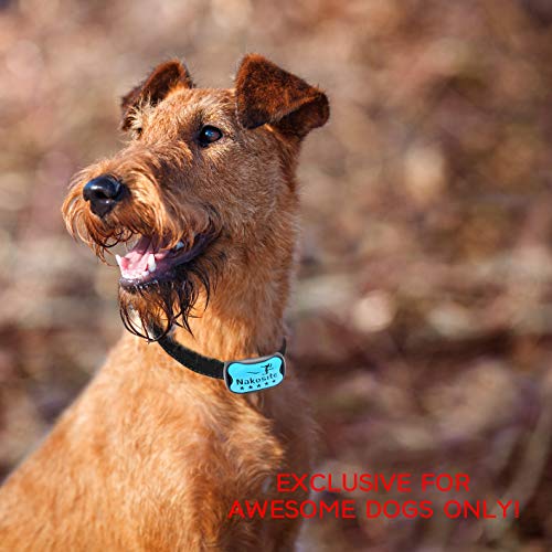 Nakosite DOG2433 Mejor Collar Antiladridos Perros para Pequeños medianos y Grandes, Bark Control Collar. Funciona Bien! Nueva tecnología!