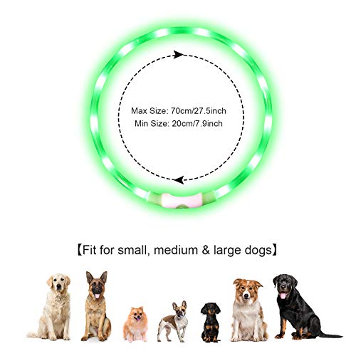 NASTRA Collar Luminoso Perro,Recargable Collares Luminosos para Perros,Collar Led Perro Luz Mayor Visibilidad y Seguridad Talla única para Todos los Perros y Gatos