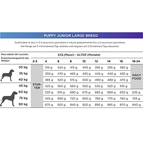 Natura Diet Puppy Junior Large Breed - Alimento seco con pollo para cachorros de rasa grandes 18-24 meses, 12 kg