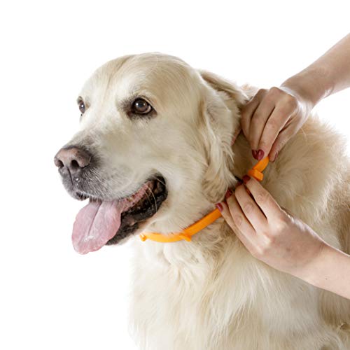 Natural Dog Treats Collar Antiparasitos para Perros, Gatos, Tamaño Ajustable e Impermeable para Mascota Pequeño Mediano Grandes, contra Pulgas, Garrapatas y Mosquitos