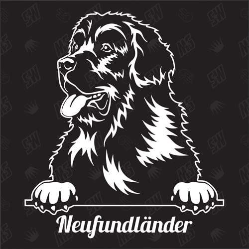 Neufundländer Versión 2 - pegatina, Terranova, perro, coche, razas de perros, mestizo, mezcla, animales, mascota (TAMBIÉN POSIBLE CON DESEADO)