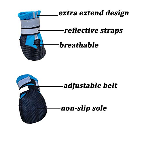 NeuWee Zapatos para Perros a Prueba de Agua (XL, Azul)