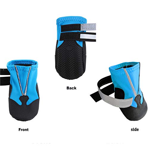 NeuWee Zapatos para Perros a Prueba de Agua (XL, Azul)