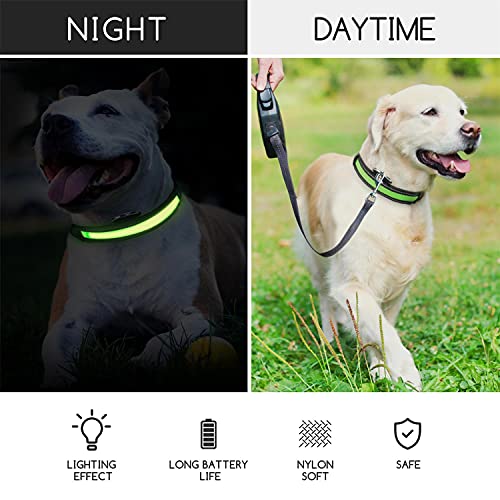 Nobleza - Collares LED para Perros, Collar Luminoso Perro de Mascota 3 Modos Collar Perro Luz con Recargable y Impermeable, Ajustable Collares LED para Pequeños Medianos Perros, Color Aleatorio S