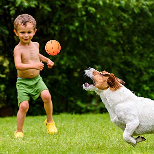 Nobleza - Juguetes para Perros - Pelotas Caucho Baloncesto, Tenis, Béisbol para Perros pequeños y Cachorros - 6 Piezas Bola de Juguete Que rebota no Tóxica - Adecuada para Perros pequeños y medianos