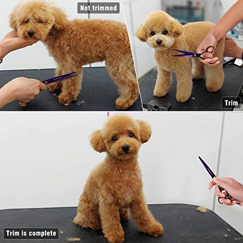 NOVOSACO juego de tijeras de aseo profesional para perros, de 7 pulgadas, tijeras de peluquería para perros, tijeras de dos vías curvadas para el cuidado de perros, tijeras de entresacar para perros