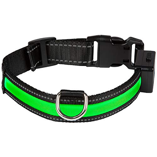 Num'axes 01830605 Collar Eyenimal con USB Verde - M