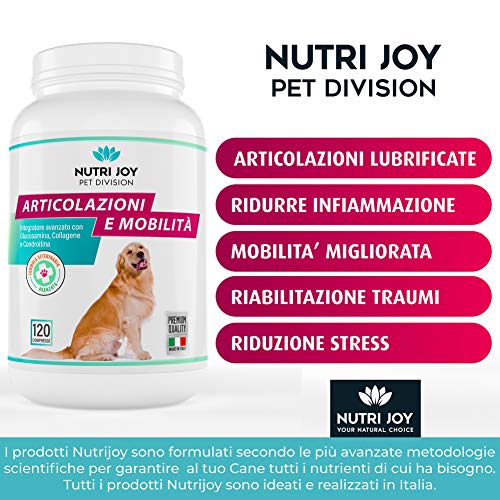 NutriJoy Suplementos para Perros Mobility + - Suplementos para Mascotas - Condroprotector Perros para Articulaciones - Curcuma para Mascotas - Tabletas Masticable