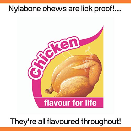 Nylabone - Extreme Chew