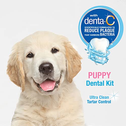 Nylabone Kit Dental avanzado de Cuidado bucal para Perros y Cachorros