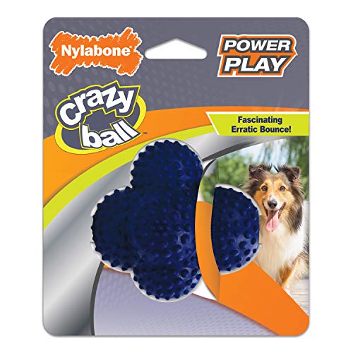 Nylabone Pelota loca para perros Power Play Ball grande (1 unidad)