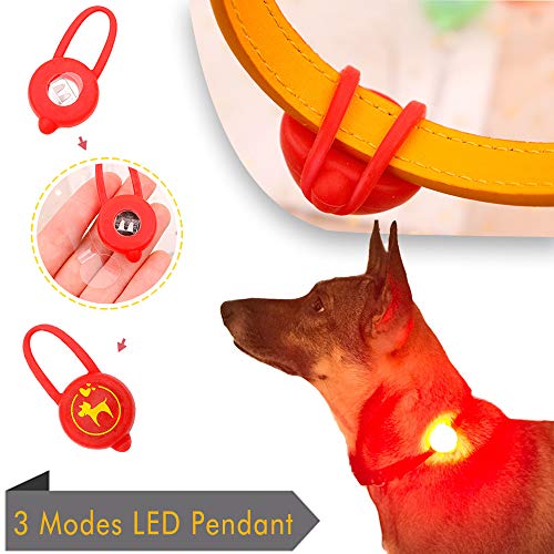 Oladwolf Collar Luminoso Perro, USB Recargable Collar Perro luz Seguro 3 Modos, Collar LED Impermeable Ajustable para Perro y Gato Menos 20kg - Azul