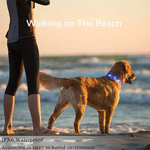 Oladwolf Collar Luminoso Perro, USB Recargable Collar Perro luz Seguro 3 Modos, Collar LED Impermeable Ajustable para Perro y Gato Menos 20kg - Azul