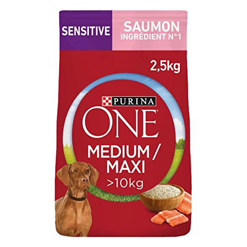 One - Pienso Medio/Maxi > 10 kg, Delicado, Rico en salmón para Perro, 2,5 kg